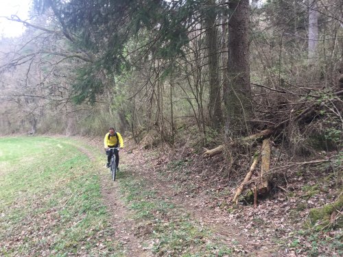 Datei 02.04.17 23 37 09.jpeg